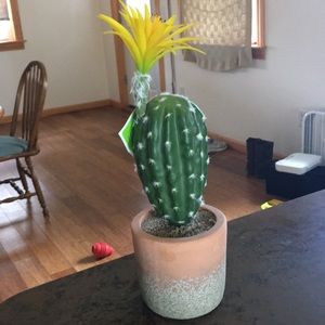 Artificial cactus